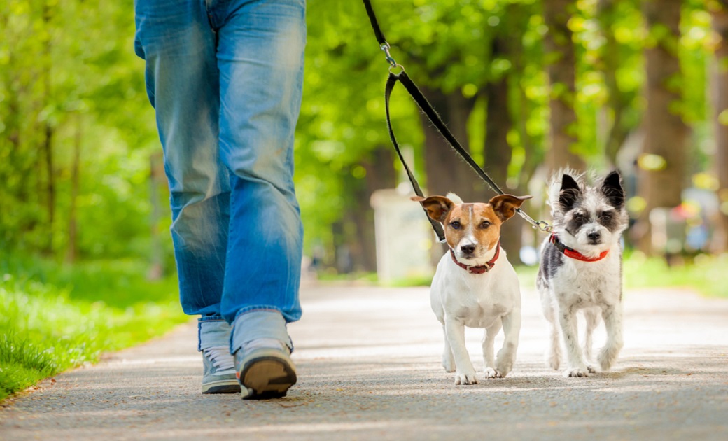 ���� �Ұ� �̹���