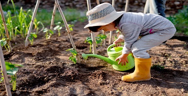 Ȱ���̹���