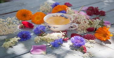 Ȱ���̹���