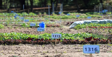 Ȱ���̹���