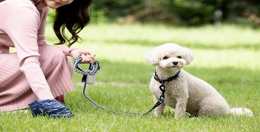 Ȱ���̹���