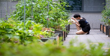 Ȱ���̹���