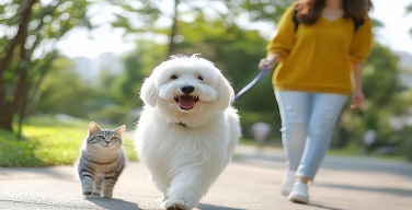 Ȱ���̹���