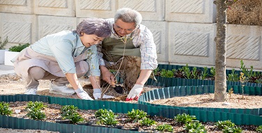 Ȱ���̹���